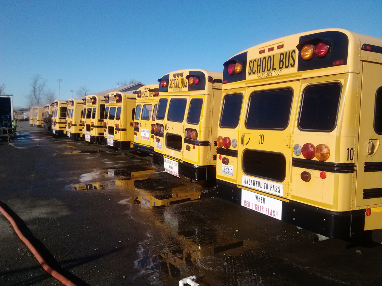 School buses