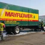 washing mayflower