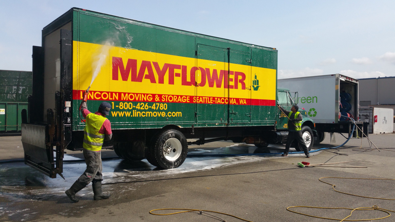 washing mayflower